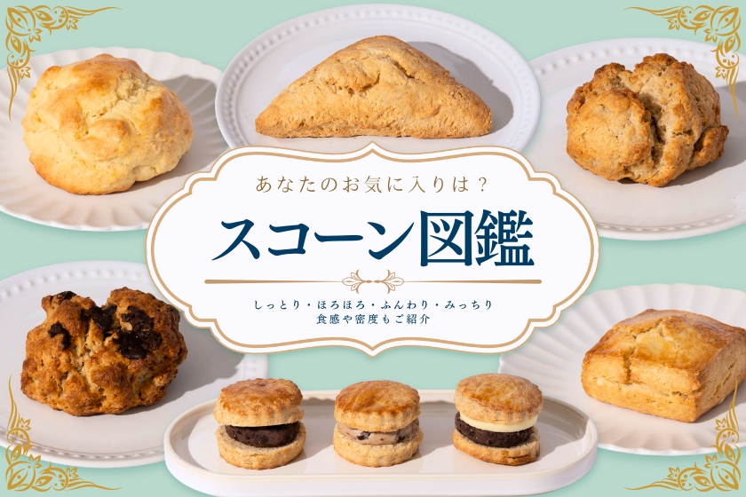 ほろほろ食感と優しい甘さのトリコになる!グランスタ「スコーン」特集 | 東京駅 構内のショップ・レストラン グランスタ【公式】 | TOKYOINFO
